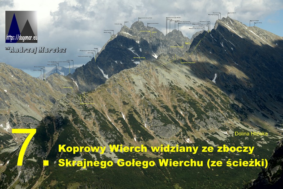 Koprowy Wierch z Gołego Wierchu